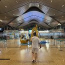 SH코스메틱 | 나트랑 깜란공항 면세점 쇼핑 식당 카페 마사지 라운지 기념품 추천