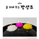 영천불교사 이미지