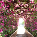 첨성대 화장실 이미지