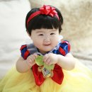 유니미니 네이버블로그