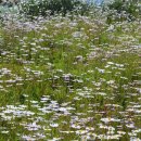 오곡면 승법리 마을회관 이미지