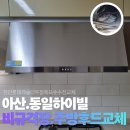 성성약품 | 비규격(800) 후드교체, 아스토니쉬 영국 비건인증 약품 세척, 자바라 교체, 기름받이 제공, 자동소화기...