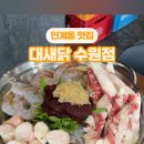 대새닭 이미지