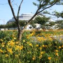 공설운동장서편(3) Daum카페