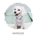 mm애견공방 이미지