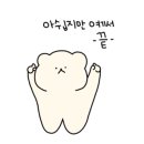 피싱홀릭낚시카페 네이버블로그