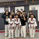 용인대석사2태권도 이미지