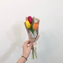 미플레르