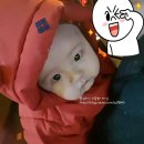 주공닭집