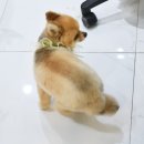 덕배쌀롱