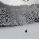 눈꽃안경 이미지