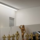 로얄핏PT 이미지