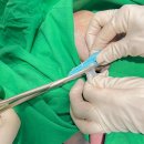 (주)서경응급구조단 | 산모와 아기를 배려해 줘서 좋은 인천 마리아 산부인과 추천 출산 후기