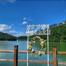 바디클럽