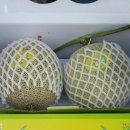 간동농협협동조합 이미지