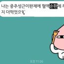 푸른온누리약국 이미지