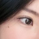 아다리 | [신사속눈썹펌] 바이솜 블랙틴트펌 후기