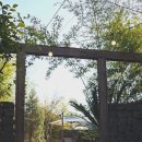 돌산배드민턴장(숲길) | 여수 돌산 애견동반 카페 숲속 감성 피읖카페 내돈내산 후기