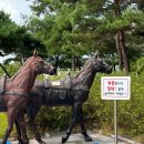 부여백제(공주)휴게소 이미지