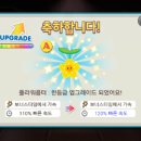 온리펫