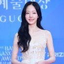 백상예술대상 흑백요리사,하얼빈 대상 변우석,김혜윤,김태리,주지훈,애순 염혜란,최대훈,신동엽,추영우,채원빈,노윤서 수상 이미지