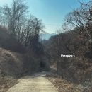 막지리184 | [옥천] 호수와 맞닿아 있는 캠핑장 “막지리 184”