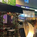 옥정강아지 이미지