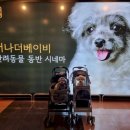 영통시네마 이미지