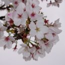 다 보이는 세상 이미지