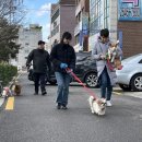 팅커벨과 피터맨 이미지