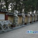 해동용궁사진입로입구 이미지