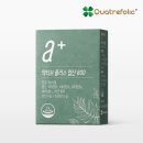 모어 이미지