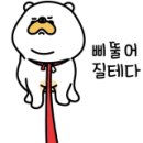 대림정 이미지