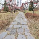 퍼스트랜드공인중개사사무소 이미지