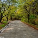 독산성길(삼남길) 이미지