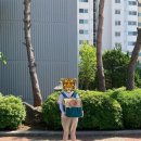 림포마 림프종암 항암치료 5주차 병원 다녀오다 (고양이 강제급여 - 엔케어프로, 코멧 실리콘 물약병 후기)