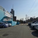 씨월드 | [광고] 아이와 거제 씨월드 다녀온 후기 (벨루가 보러 떠난 주말 나들이)