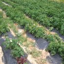 희망찬농장 이미지