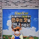 한우 투플도 가성비 있게! 대구 축산물프라자 셀프식당