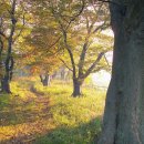 영광문화사 - 서구 | 영광문화사