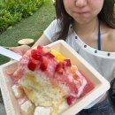해돋이 호스텔 | 알로하 하와이 Hawaii ❤️‍🔥25/07/02~03