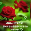 기분좋은날 Daum카페