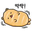 깐돌이네 애견미용호텔 이미지