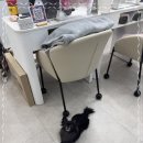 미소속눈썹네일