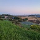 운남농장2 이미지