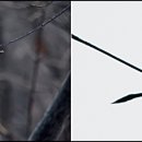 관음2리 이미지