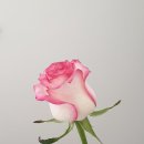 주연테크어방점 이미지