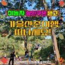 「가을산촌여행」 야놀자할인쿠폰 받고 숲체험 싱잉볼테라피 가을속으로 이색체험여행 떠나세요