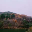 횡성 별빛마을 캠핑장