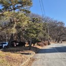 탄금공원 (탄금대로 방향) 이미지